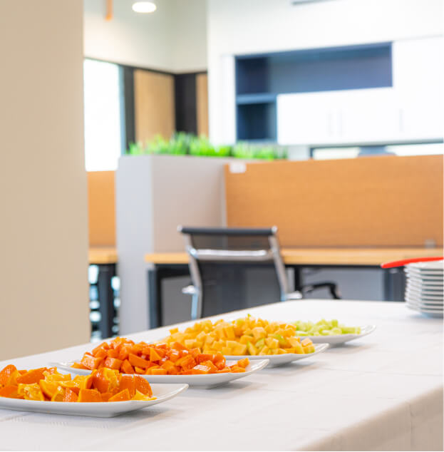 Soluciones Virtuales